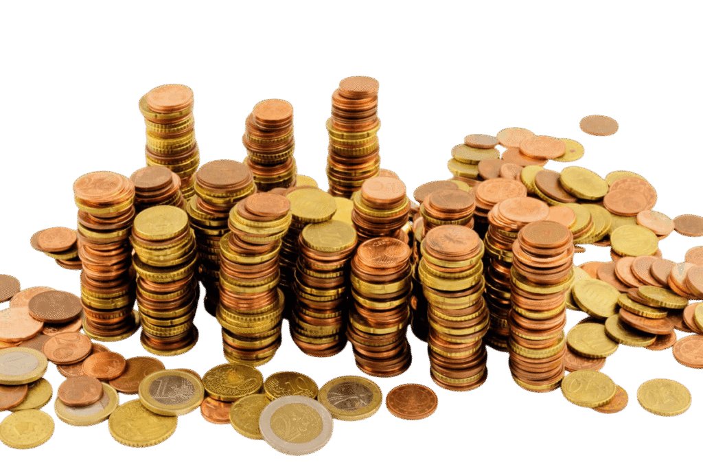 euro_money_finance_save_cent-Photoroom La importancia de la gestión del dinero